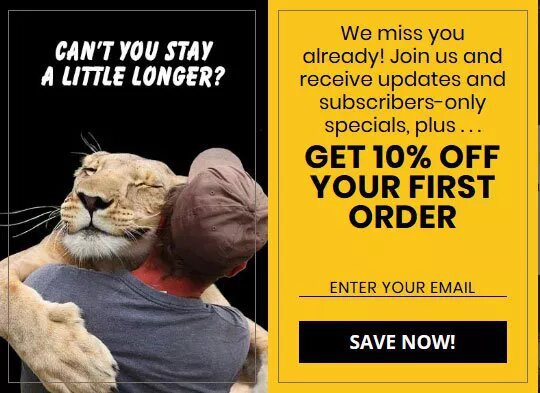 ecommerce-popup-man-holding-a-lion-example