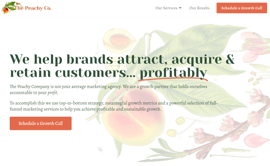 a screenshot of The Peachy Company homepage
